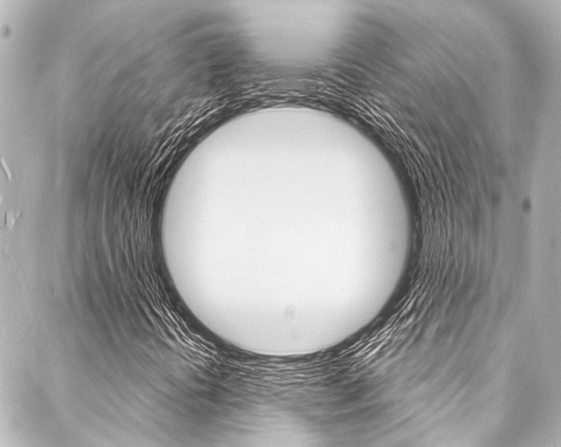 X0000088081394200705110950