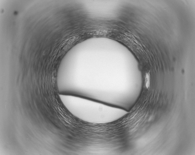 X0000088081395200705110950