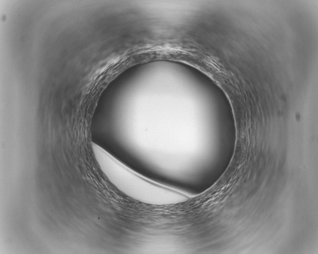 X0000088081398200705110951
