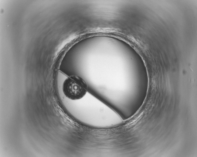 X0000088081406200705110951