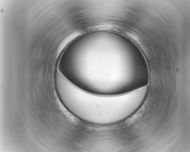 X0000088081426200705110951