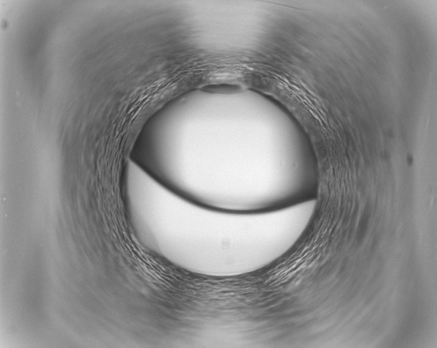 X0000088081441200705110950