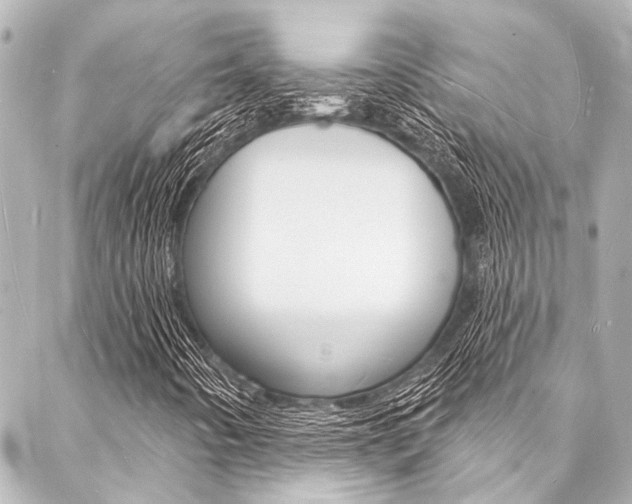 X0000088081442200705110950