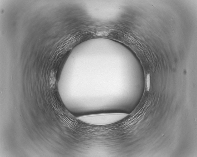 X0000088081443200705110950