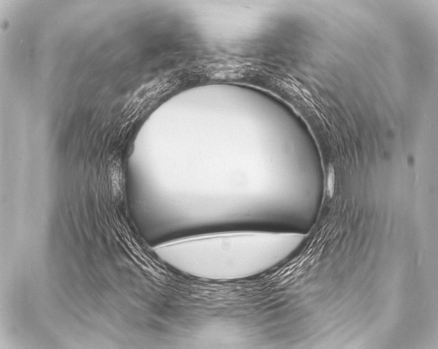 X0000088081444200705110950