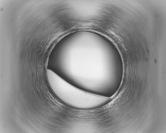 X0000088081449200705110950