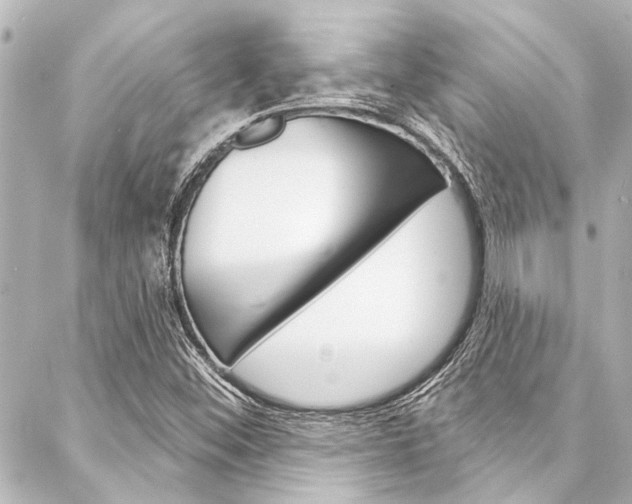 X0000088081452200705110950