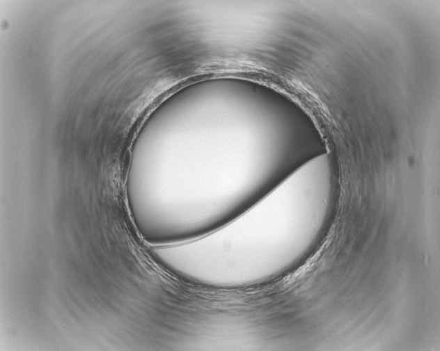 X0000088081457200705110950