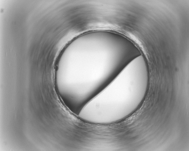X0000088081472200705110950