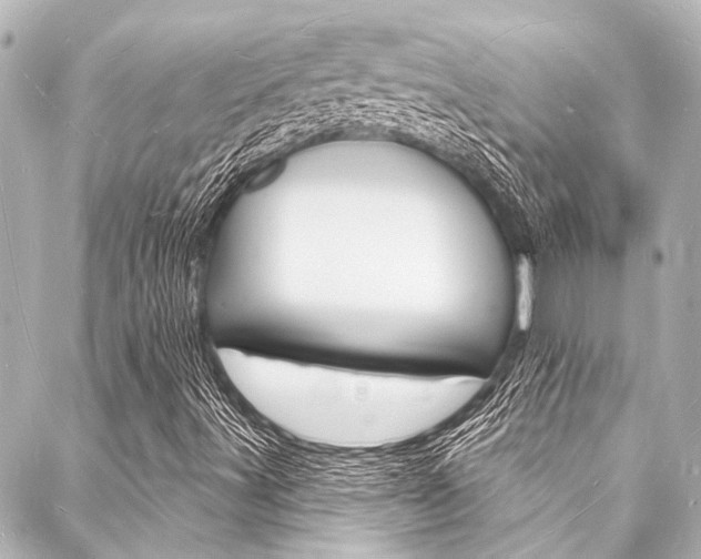 X0000088081491200705110949