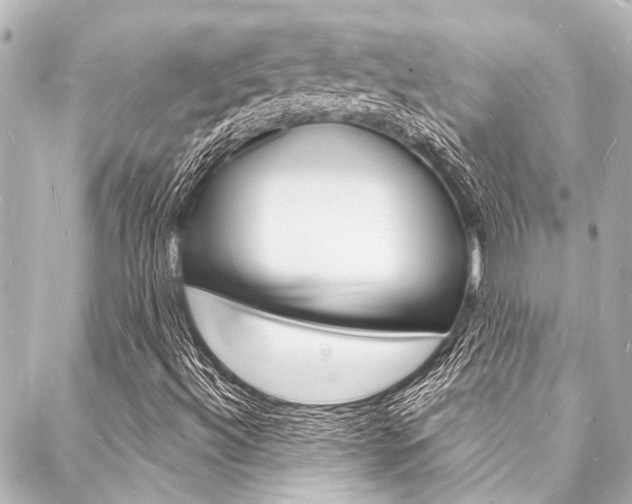 X0000088081492200705110949