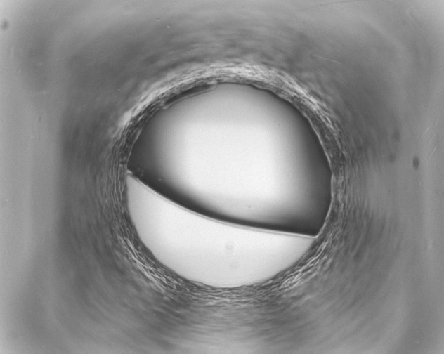 X0000088081496200705110949