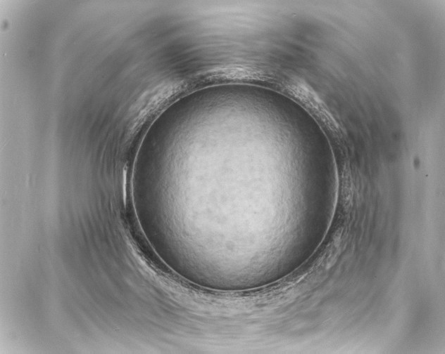 X0000088080014200705111444