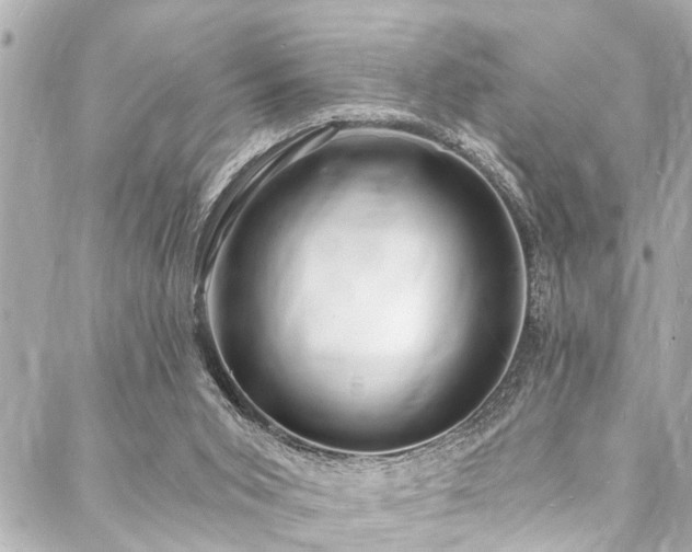 X0000088080015200705111444