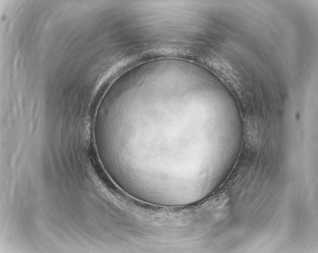 X0000088080016200705111444