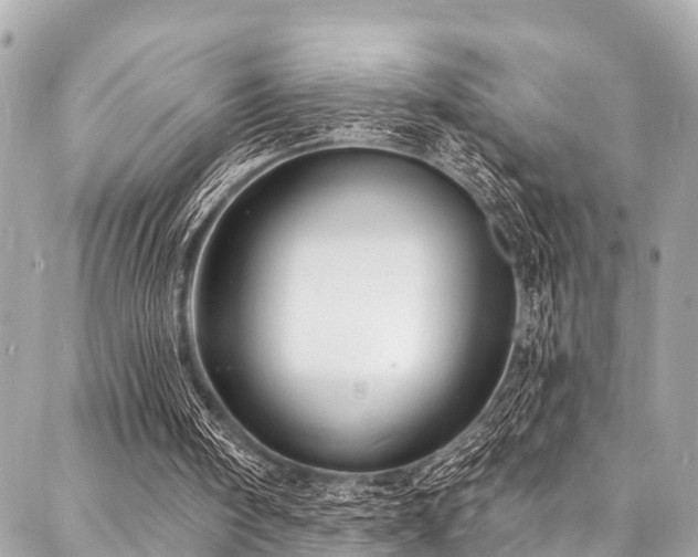 X0000088080098200705111443