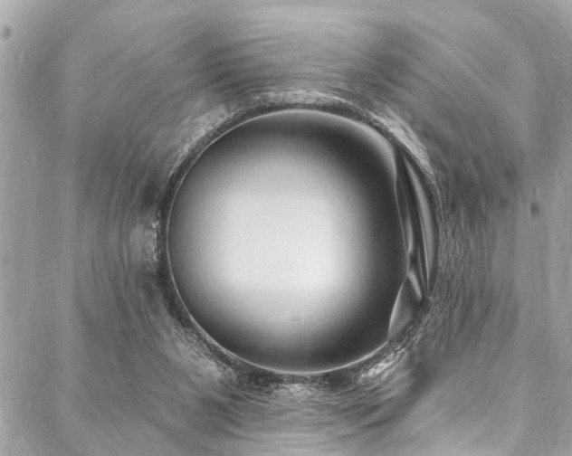 X0000088080111200705111443