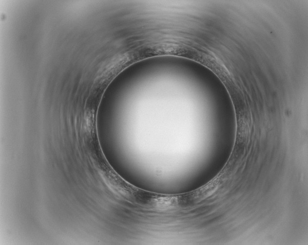 X0000088080126200705111442
