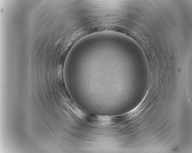 X0000088080144200705111442