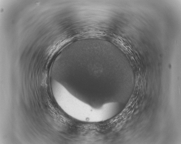 X0000088080146200705111441