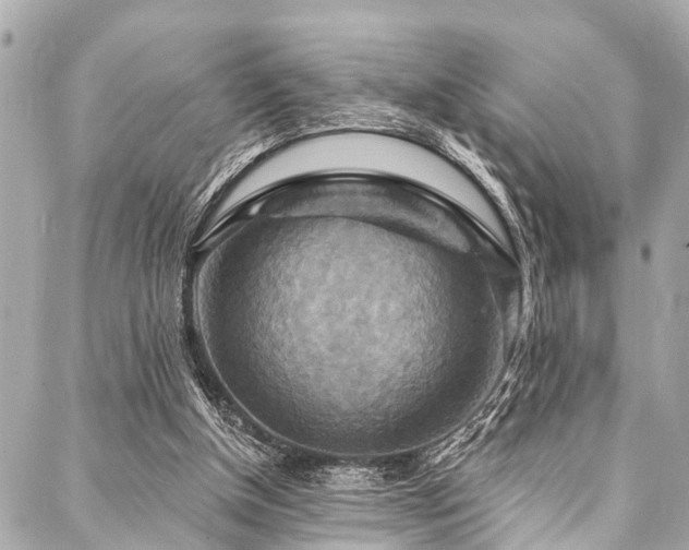 X0000088080154200705111441