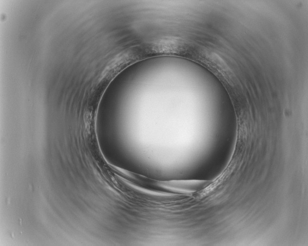 X0000088080171200705111442