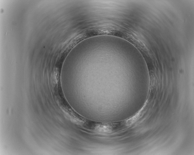 X0000088080174200705111442