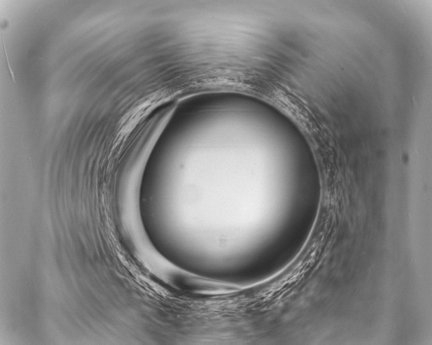 X0000088080193200705111441