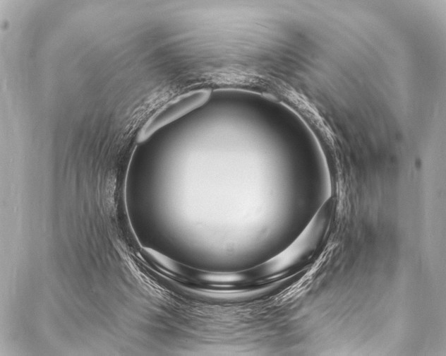 X0000088080201200705111441