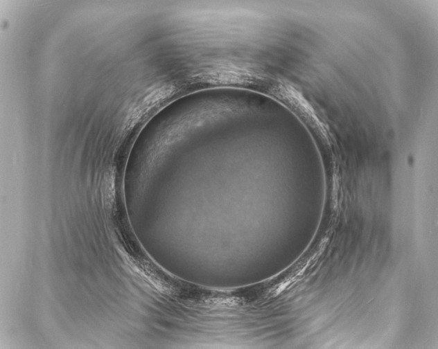 X0000088080202200705111441