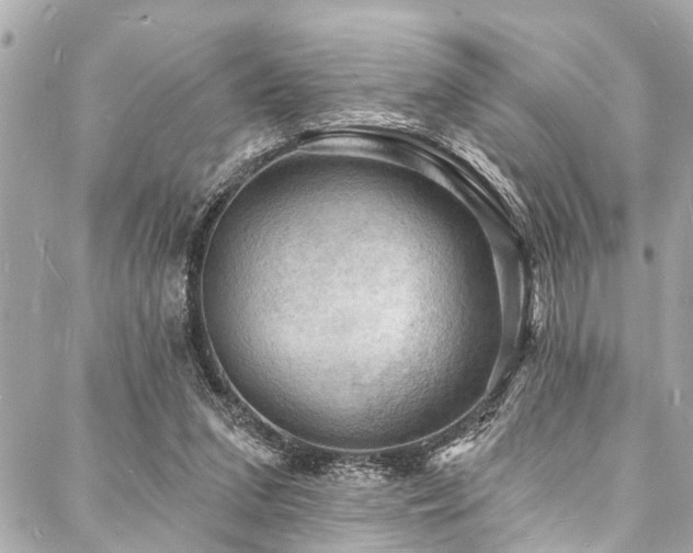 X0000088080207200705111441