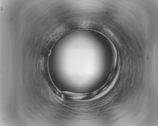 X0000088080217200705111441