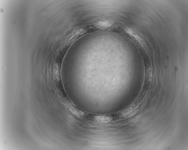 X0000088080234200705111441