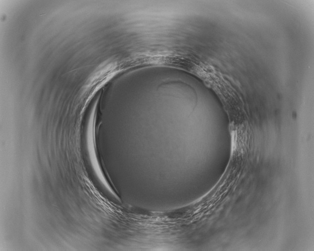 X0000088080243200705111440