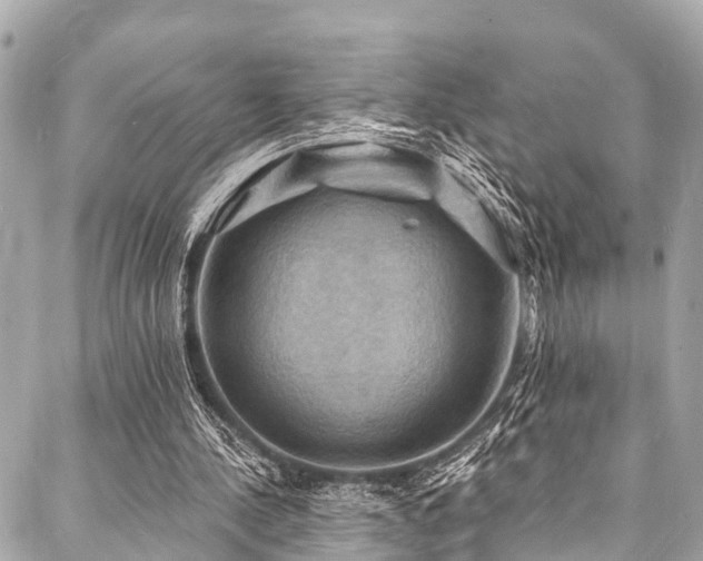 X0000088080244200705111440