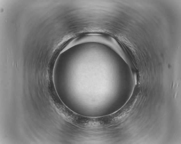 X0000088080256200705111440