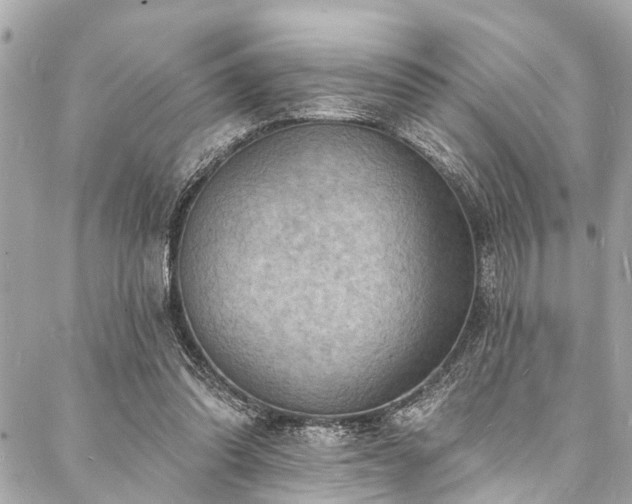 X0000088080302200705111439