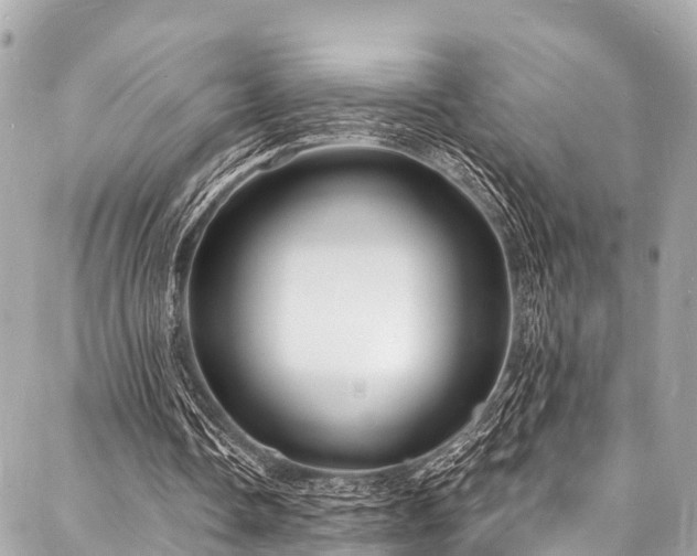X0000088080338200705111438