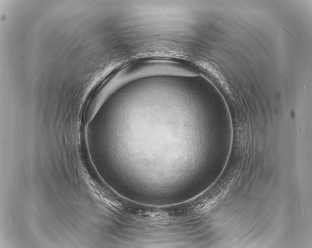 X0000088080395200705111438