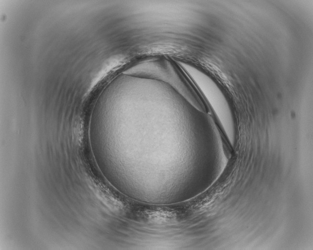 X0000088080400200705111438