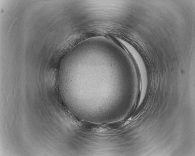 X0000088080412200705111438