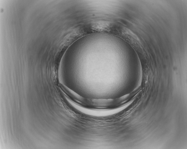 X0000088080420200705111438