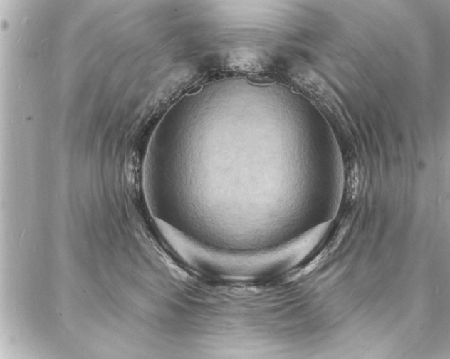 X0000088080424200705111437