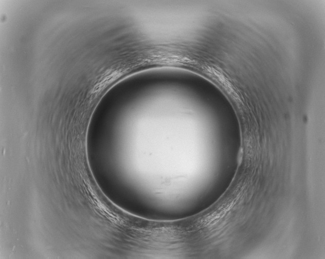 X0000088080433200705111437