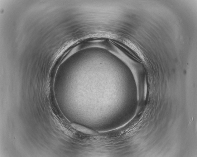 X0000088080436200705111437