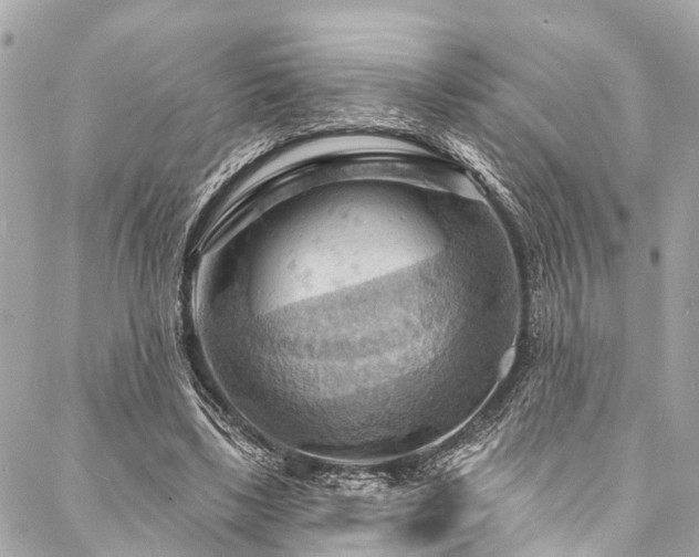 X0000088080443200705111437