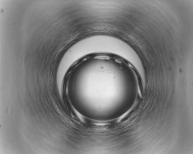 X0000088080456200705111437