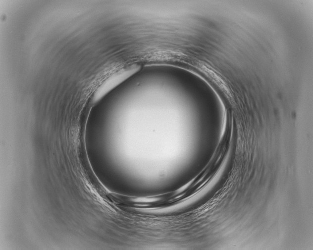 X0000088080485200705111436