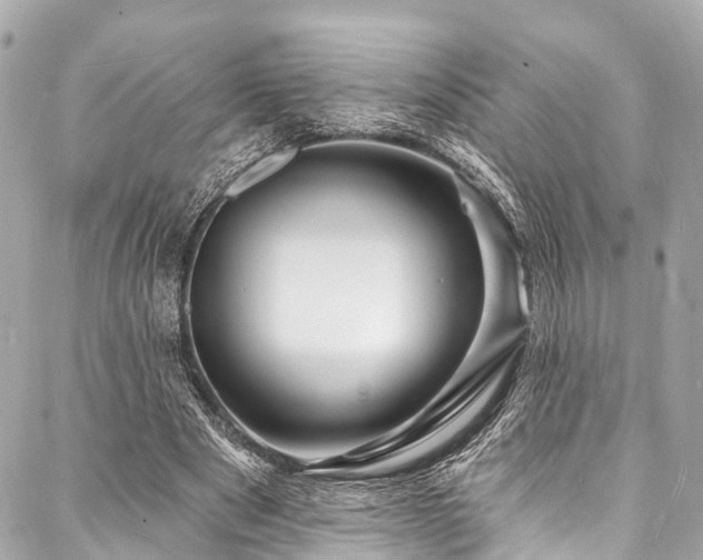 X0000088080489200705111436