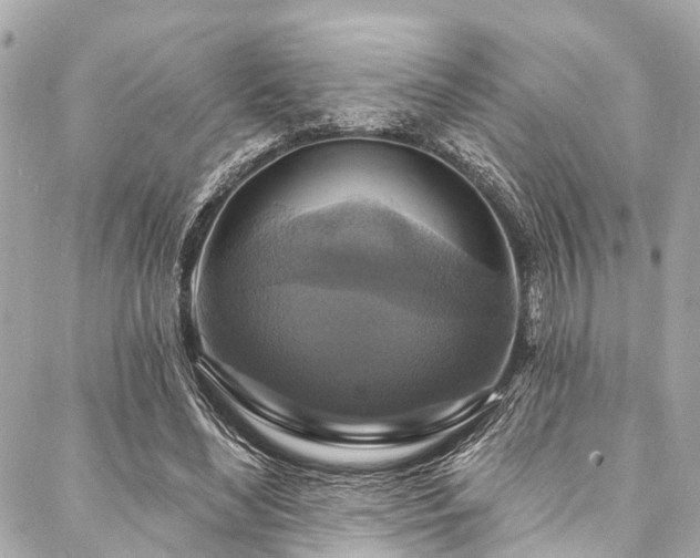 X0000088080492200705111436